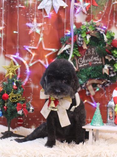 20231220クロちゃん